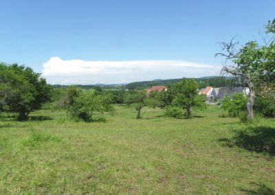 Les Tilleuls II