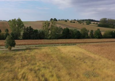 Les Terrasses du Seltzbach